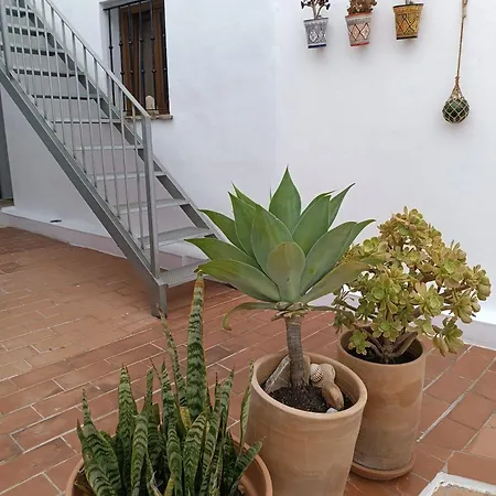 3 Puertas 1